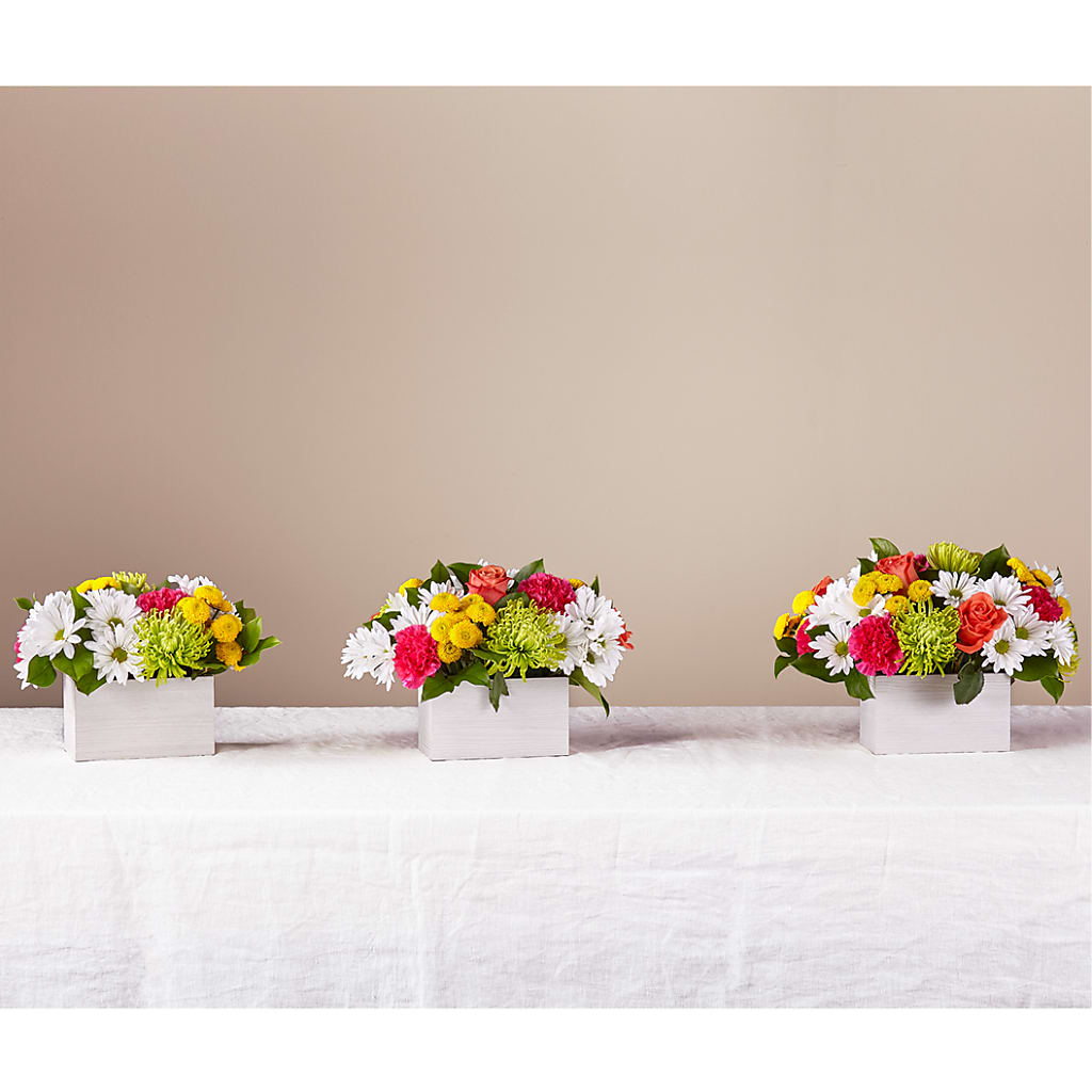 Sorbet Bouquet – AIMEE'S FLOWERS, San Diego CA
