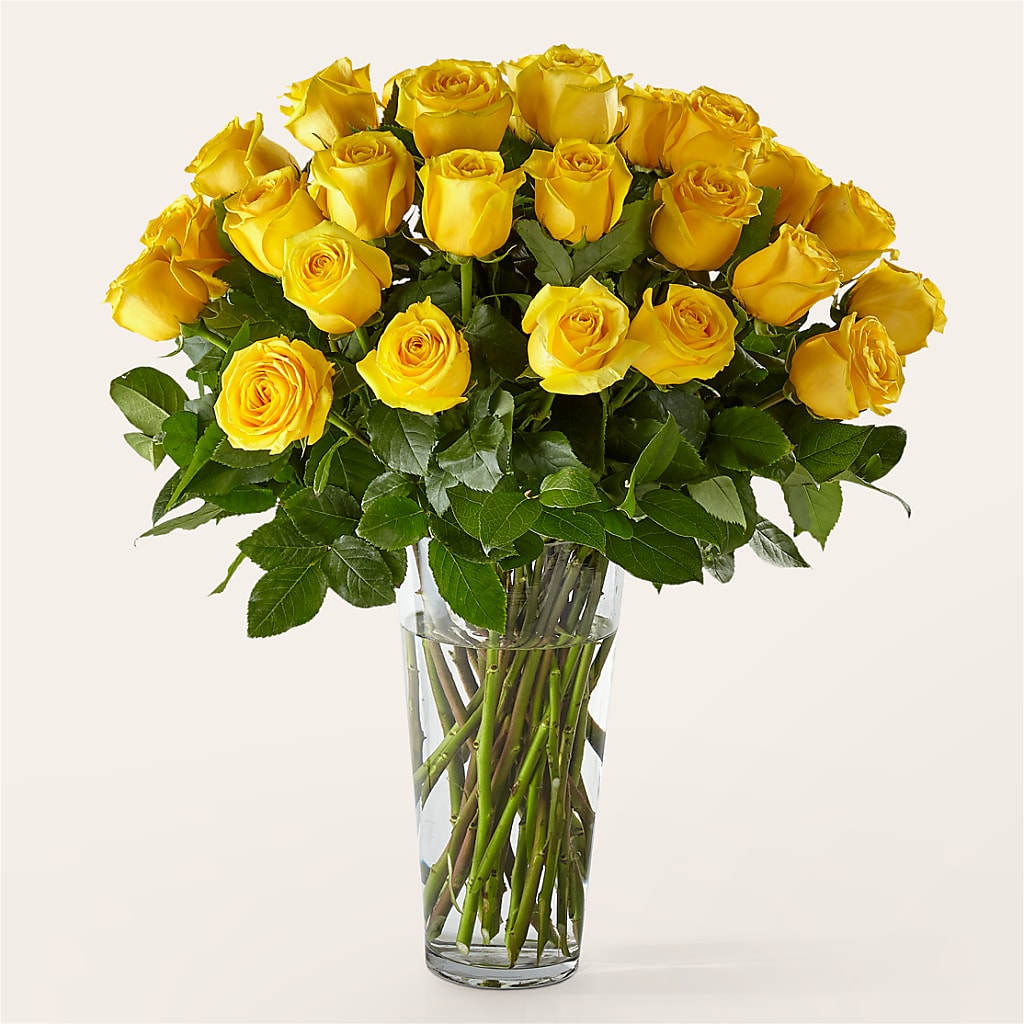 Long Stem Yellow Rose Bouquet – AIMEE'S FLOWERS, San Diego CA