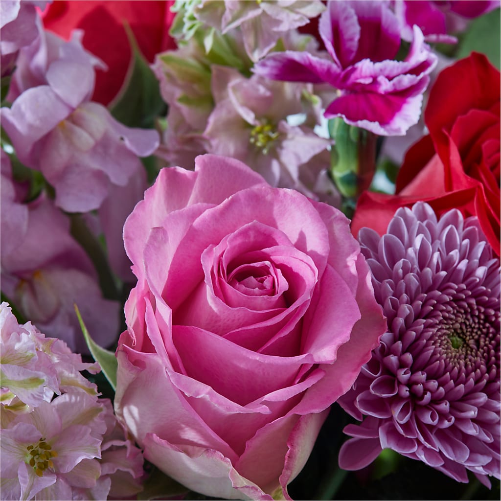 Better Together - A Luxury Florist Original – AIMEE'S FLOWERS, San Diego CA