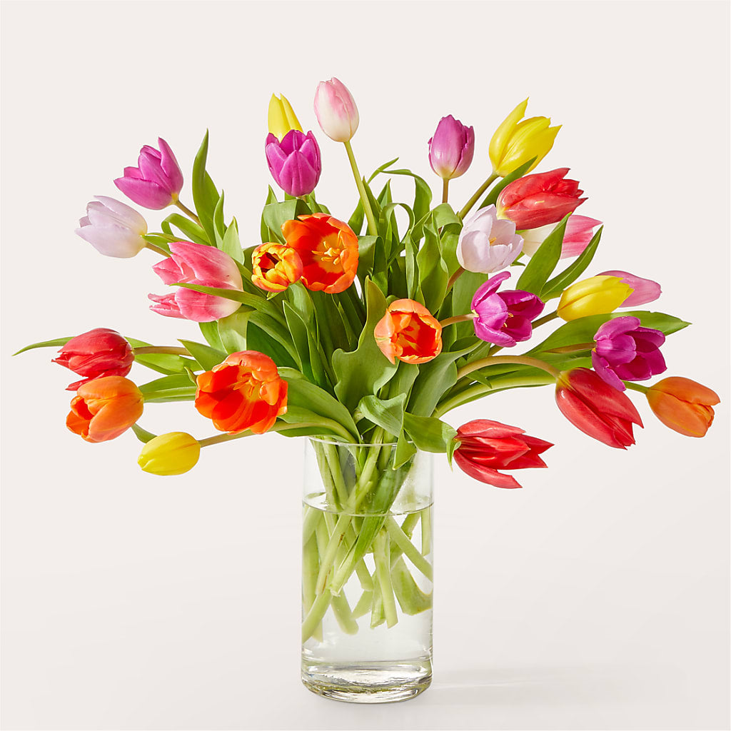 Let's Talk Tulips Bouquet – AIMEE'S FLOWERS, San Diego CA