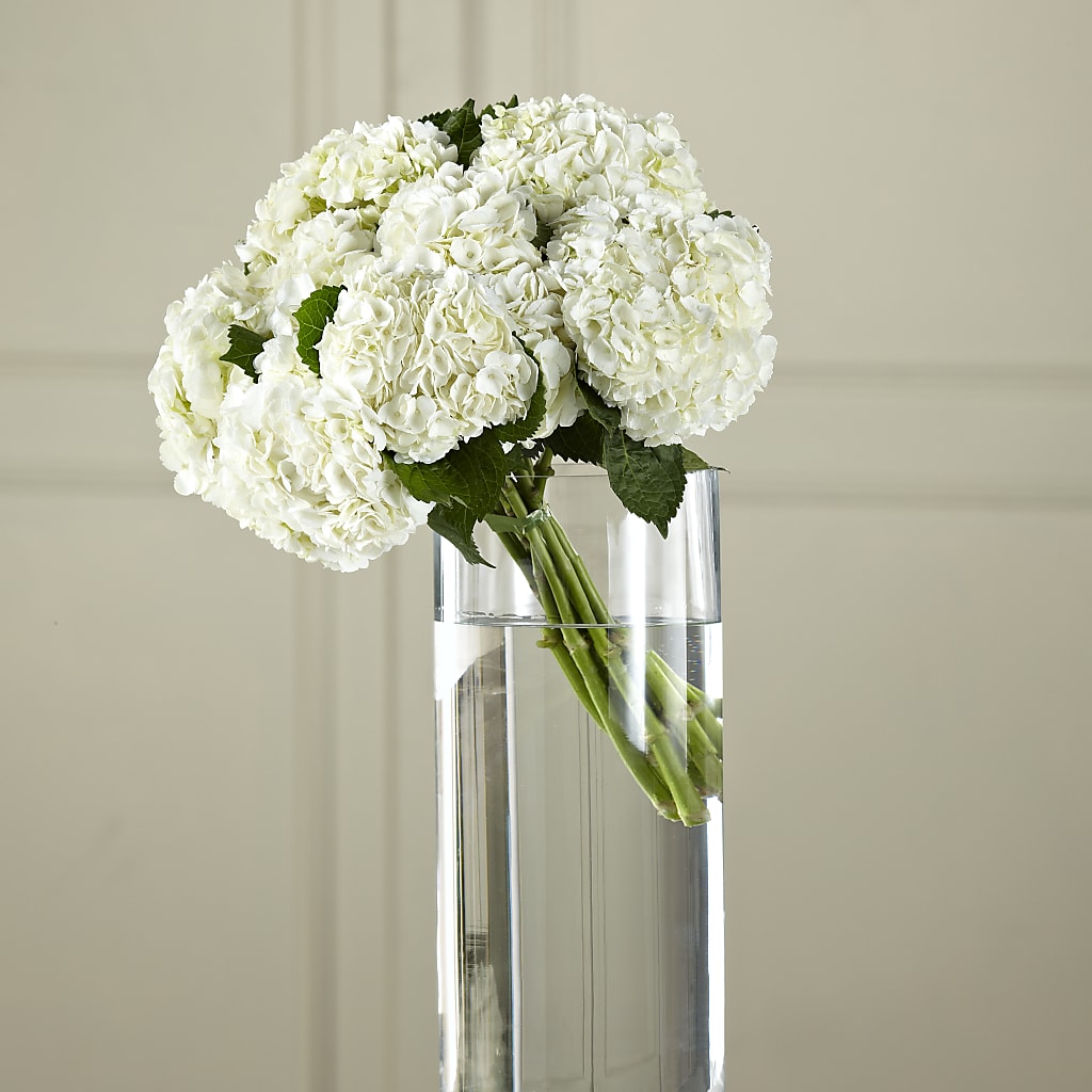 White Hydrangea Hand-Tied Bouquet – AIMEE'S FLOWERS, San Diego CA
