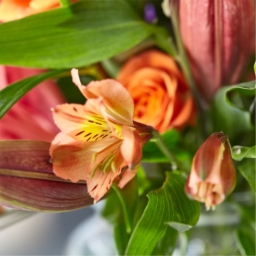 Bold & Bright – A Florist Original – AIMEE'S FLOWERS, San Diego CA