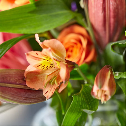 Bold & Bright – A Florist Original – AIMEE'S FLOWERS, San Diego CA