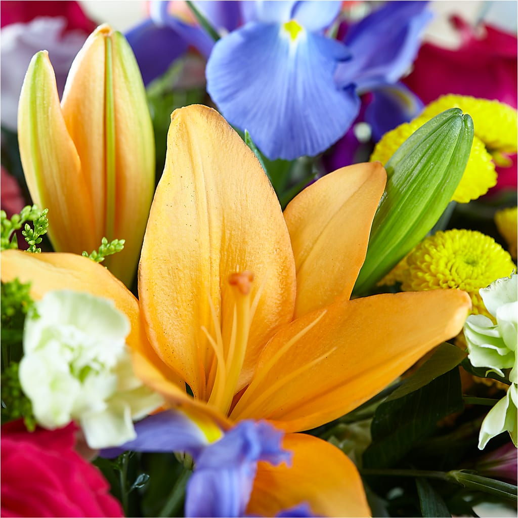 Bold & Bright – A Florist Original – AIMEE'S FLOWERS, San Diego CA