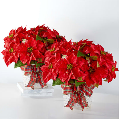 Happiest Holidays Poinsettia Bundle – AIMEE'S FLOWERS, San Diego CA