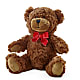 Adorable Plush Bear – AIMEE'S FLOWERS, San Diego CA