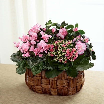 Pink Assortment – AIMEE'S FLOWERS, San Diego CA