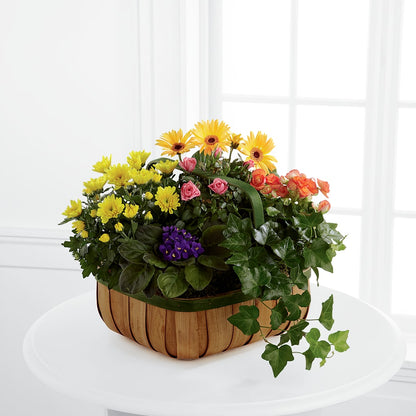 Gentle Blossoms Basket – AIMEE'S FLOWERS, San Diego CA