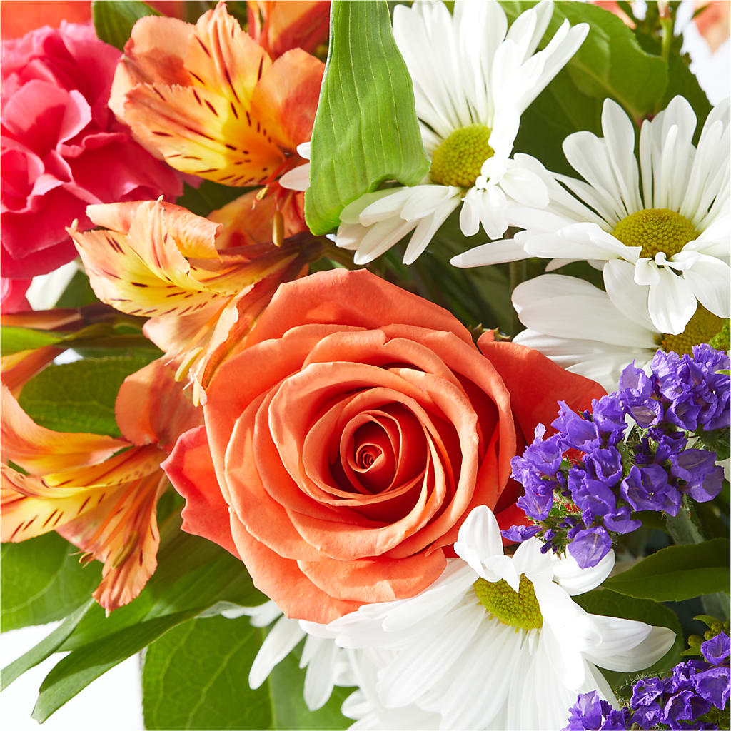 Oopsie Daisy Box Bouquet – AIMEE'S FLOWERS, San Diego CA