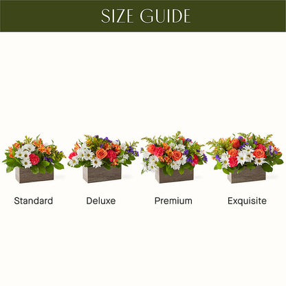 Oopsie Daisy Box Bouquet – AIMEE'S FLOWERS, San Diego CA