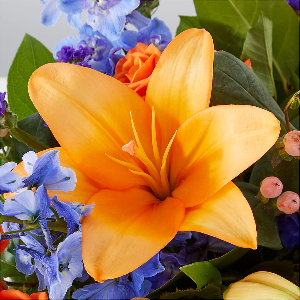 Radiant Citrus Box Bouquet – AIMEE'S FLOWERS, San Diego CA