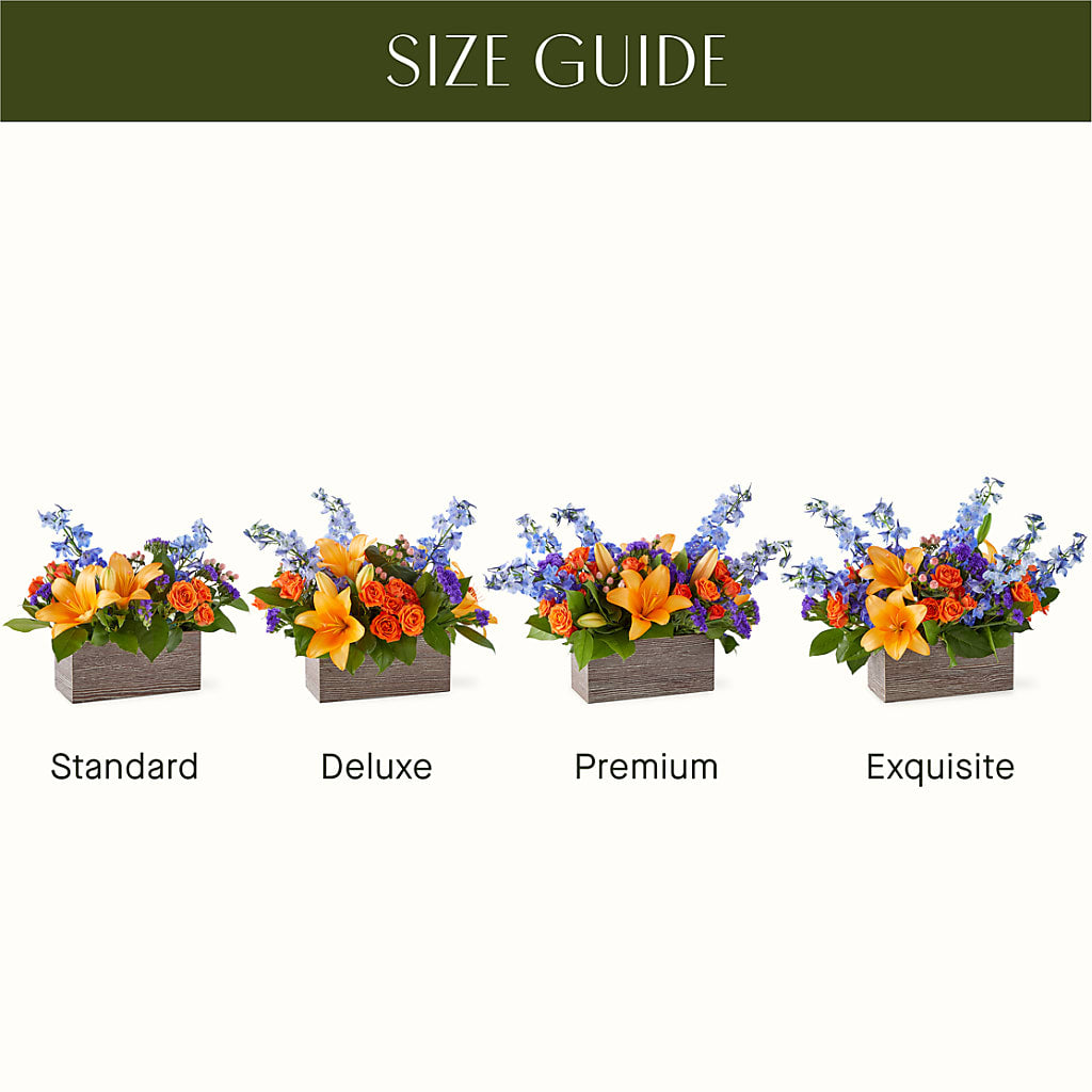 Radiant Citrus Box Bouquet – AIMEE'S FLOWERS, San Diego CA