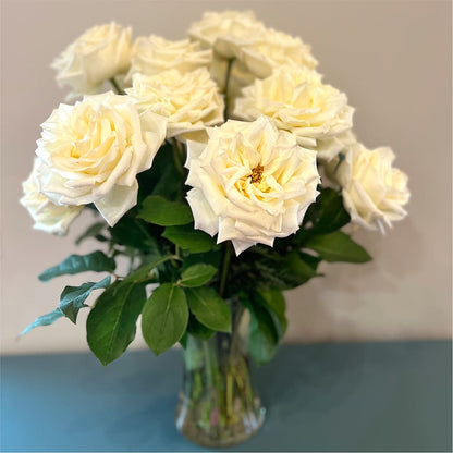 Long Stem Yellow Rose Bouquet – AIMEE'S FLOWERS, San Diego CA