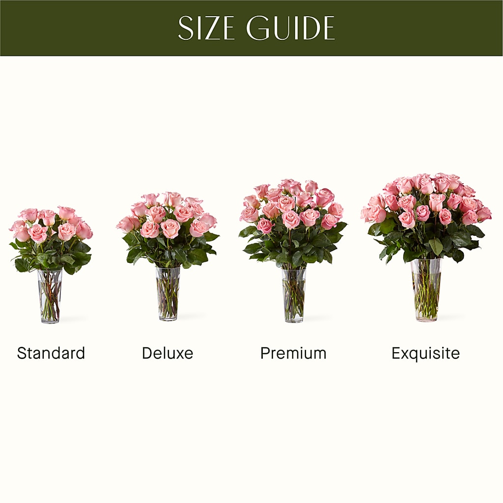 Long Stem Pink Rose Bouquet – AIMEE'S FLOWERS, San Diego CA