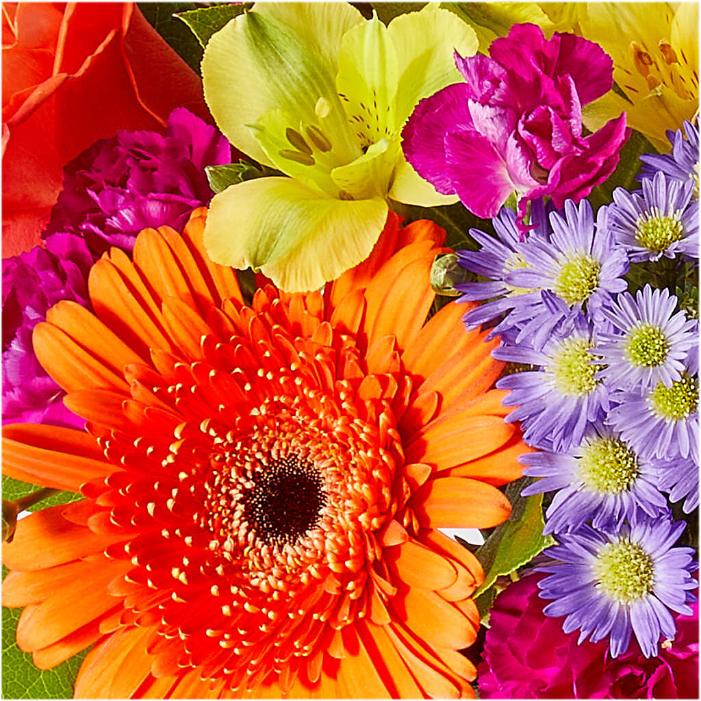 Tricks & Treats Pumpkin – AIMEE'S FLOWERS, San Diego CA