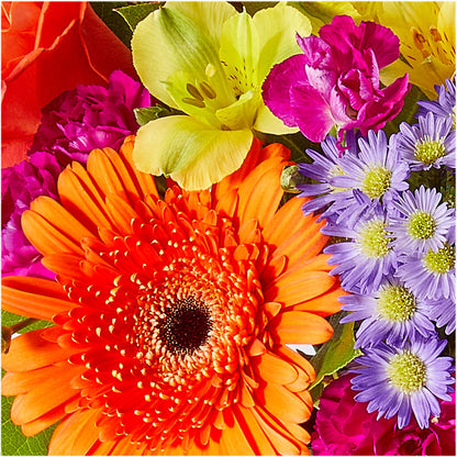 Tricks & Treats Pumpkin – AIMEE'S FLOWERS, San Diego CA