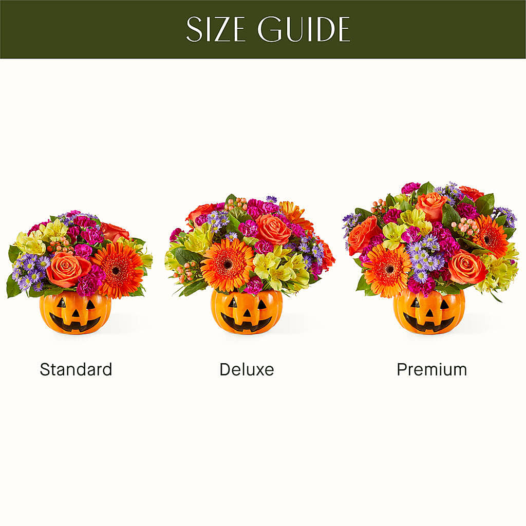 Tricks & Treats Pumpkin – AIMEE'S FLOWERS, San Diego CA