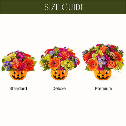 Tricks & Treats Pumpkin – AIMEE'S FLOWERS, San Diego CA