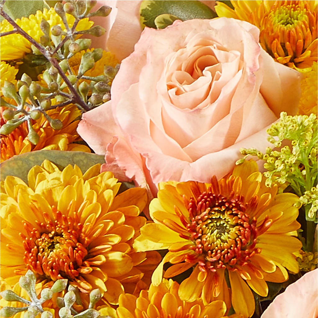 Peachy Pumpkin – AIMEE'S FLOWERS, San Diego CA
