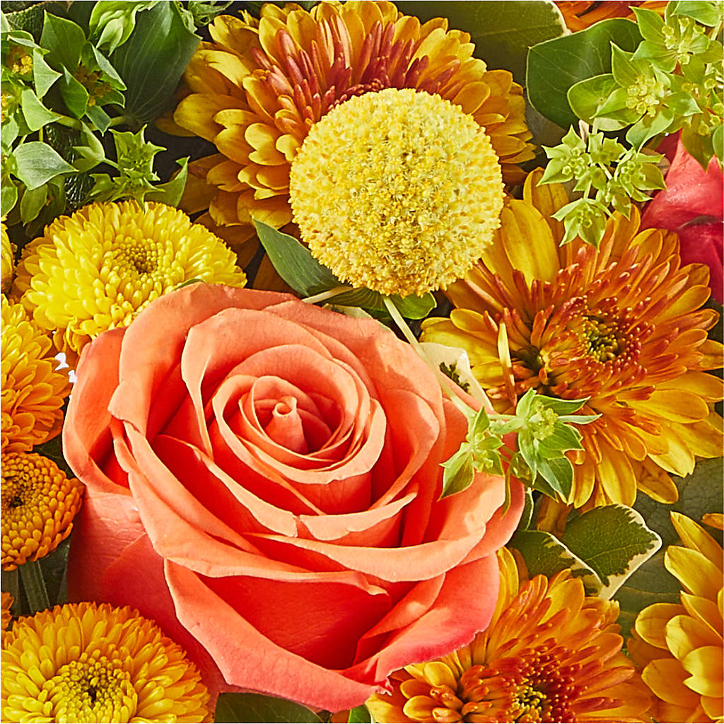 Gourdgeous Pumpkin – AIMEE'S FLOWERS, San Diego CA