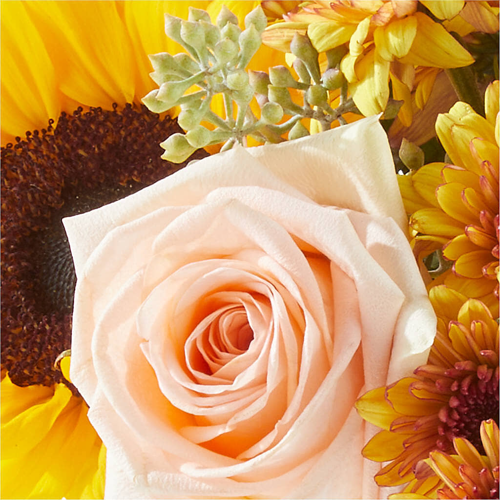 Pumpkin to Talk About Bouquet – AIMEE'S FLOWERS, San Diego CA