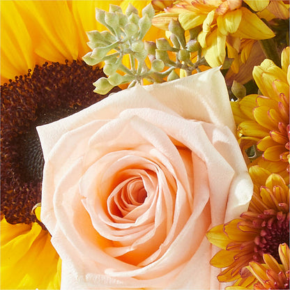 Pumpkin to Talk About Bouquet – AIMEE'S FLOWERS, San Diego CA