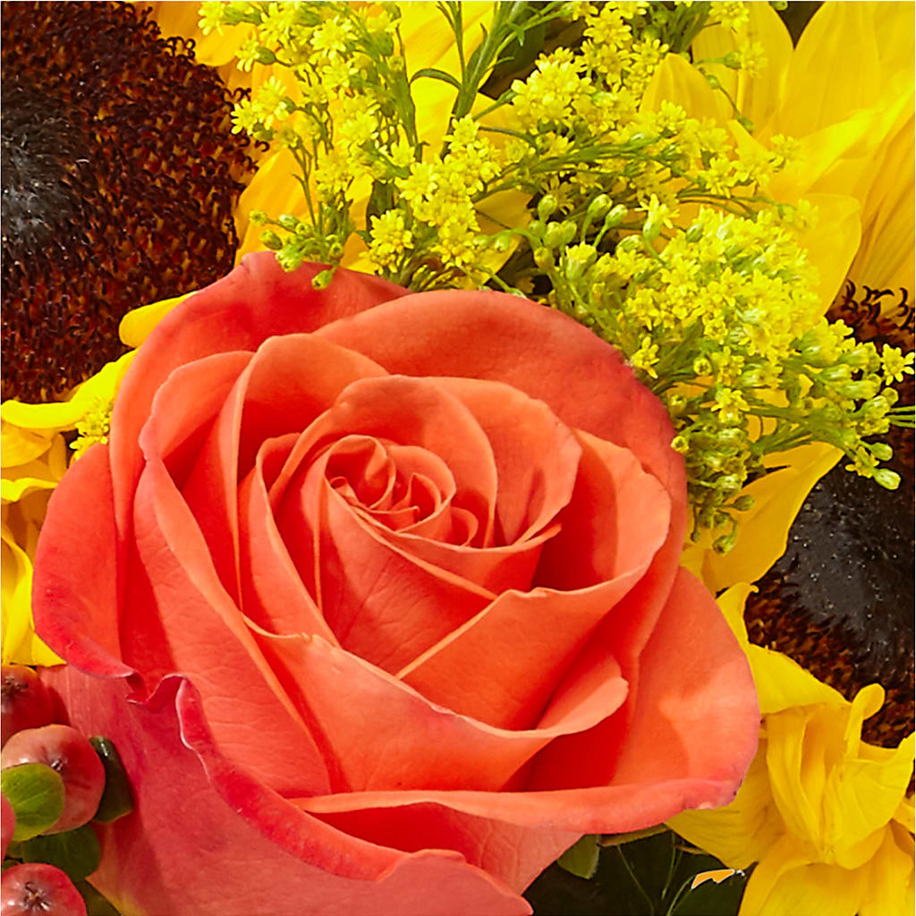 Pick of the Patch Pumpkin Bouquet – AIMEE'S FLOWERS, San Diego CA