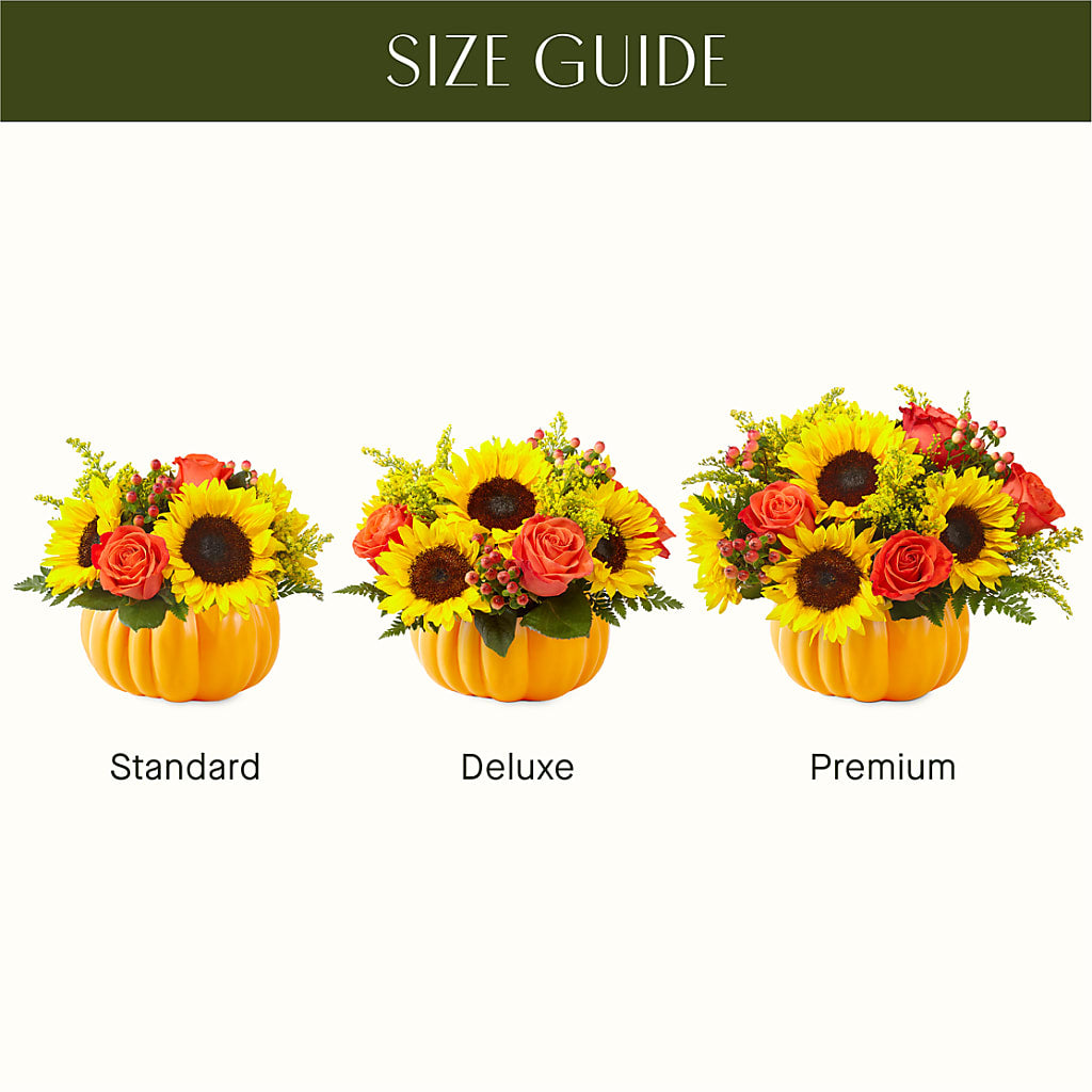 Pick of the Patch Pumpkin Bouquet – AIMEE'S FLOWERS, San Diego CA
