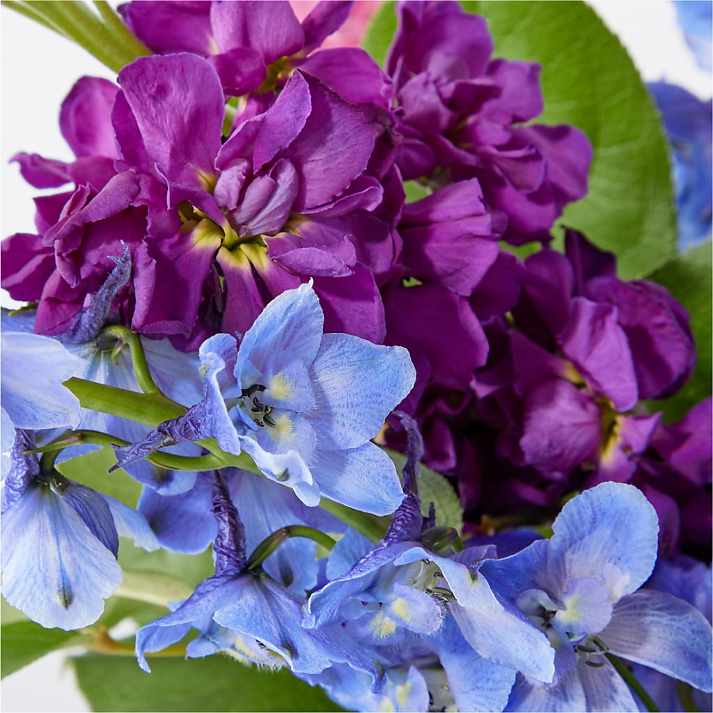 Twilight Glow Bouquet – AIMEE'S FLOWERS, San Diego CA
