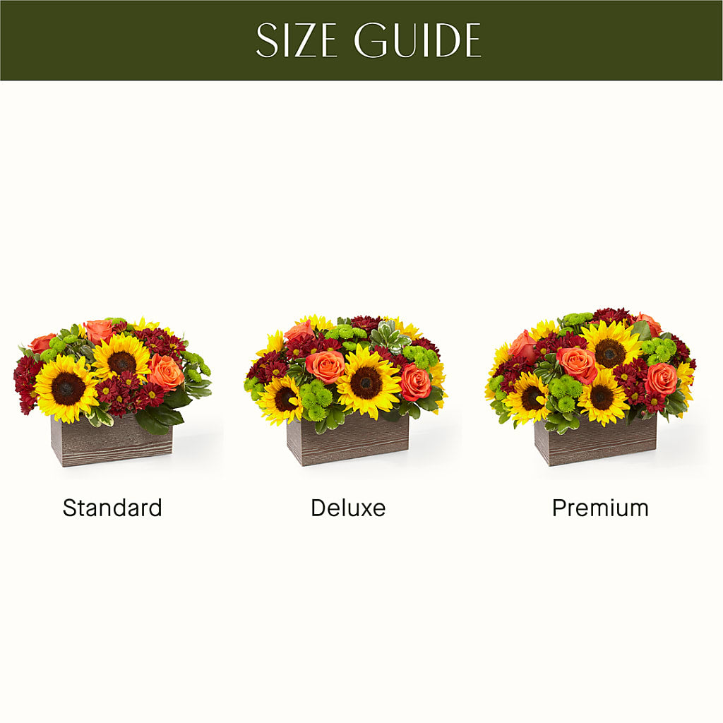 Happy Harvest Garden – AIMEE'S FLOWERS, San Diego CA