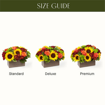 Happy Harvest Garden – AIMEE'S FLOWERS, San Diego CA