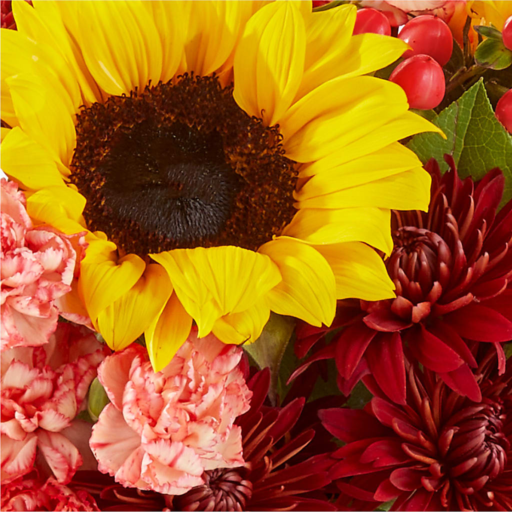 Fresh Cider Bouquet – AIMEE'S FLOWERS, San Diego CA
