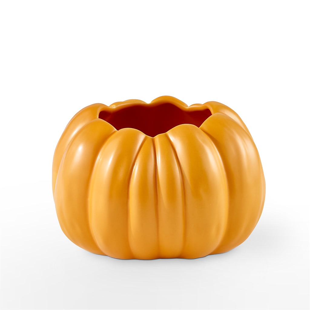 Pick of the Patch Pumpkin Bouquet – AIMEE'S FLOWERS, San Diego CA