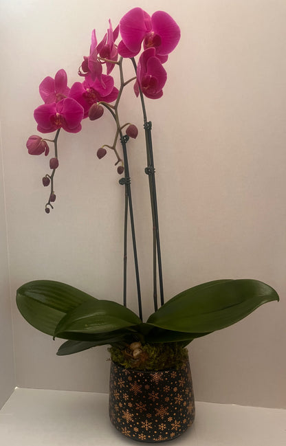 Uniquely You – AIMEE'S FLOWERS, San Diego CA