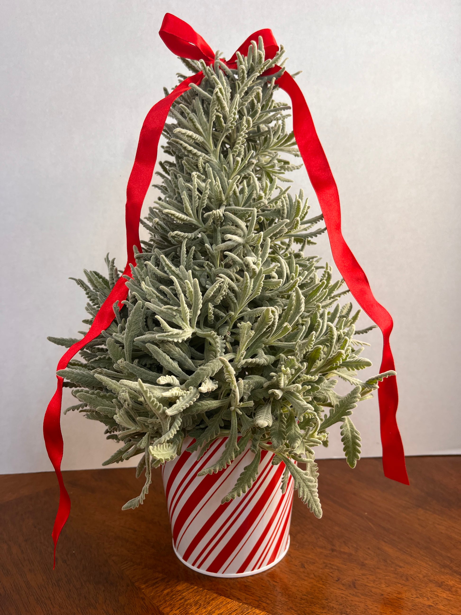 lavender tree christmas Lavender Christmas Tree – flower arrangement | San Diego, CA