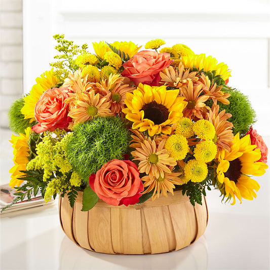 Harvest Sunflower Basket – AIMEE'S FLOWERS, San Diego CA