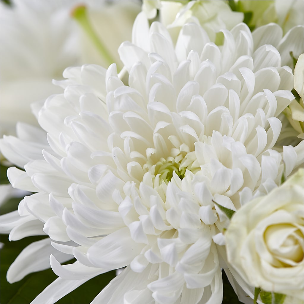 Classic Ivory – A Florist Original – AIMEE'S FLOWERS, San Diego CA