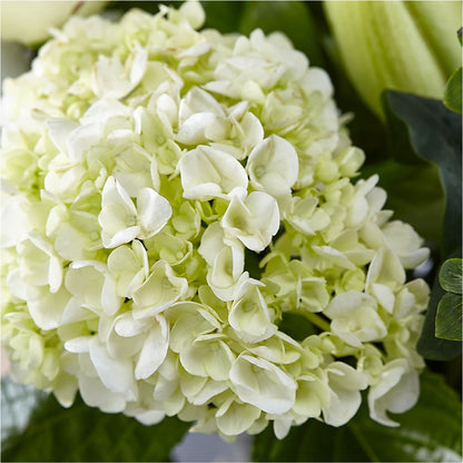 Classic Ivory – A Florist Original – AIMEE'S FLOWERS, San Diego CA