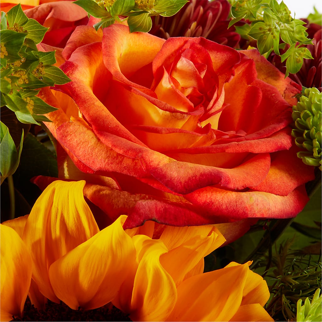 Harvest Festival Bouquet – AIMEE'S FLOWERS, San Diego CA