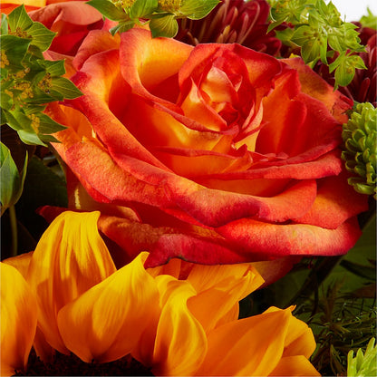 Harvest Festival Bouquet – AIMEE'S FLOWERS, San Diego CA
