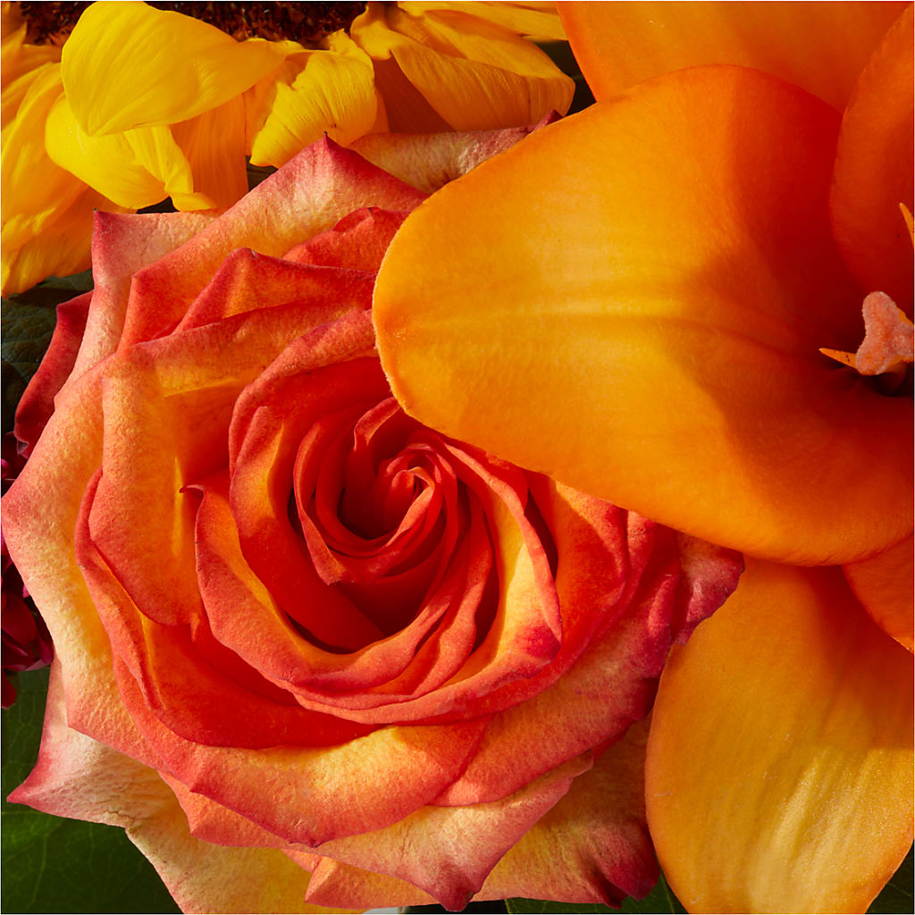 Grateful Centerpiece – AIMEE'S FLOWERS, San Diego CA