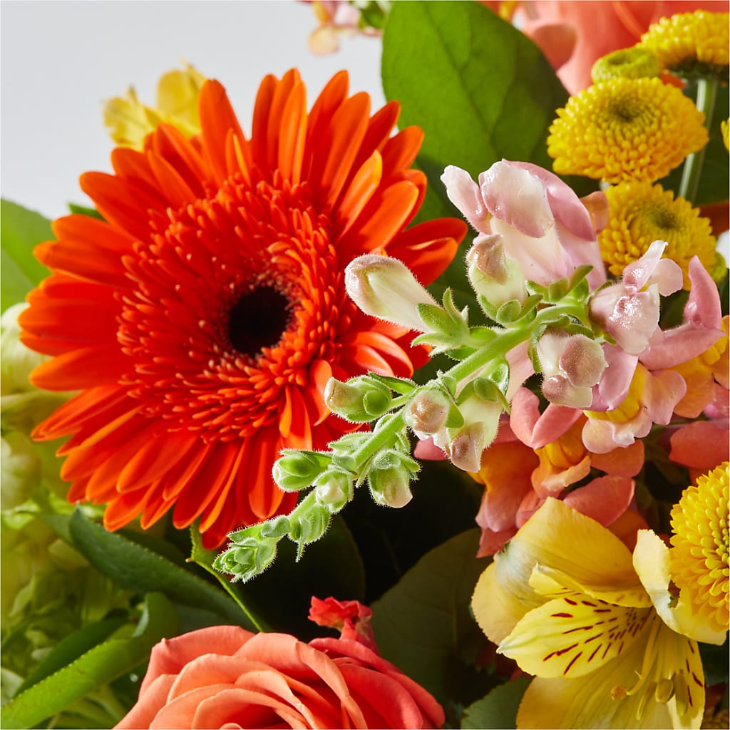 Autumn Sunshine Bouquet – AIMEE'S FLOWERS, San Diego CA