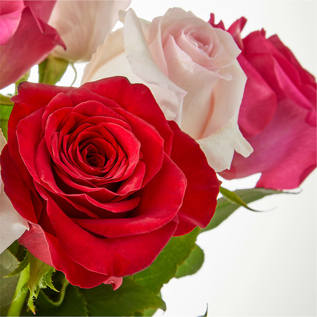 Charming Rose Bouquet – AIMEE'S FLOWERS, San Diego CA