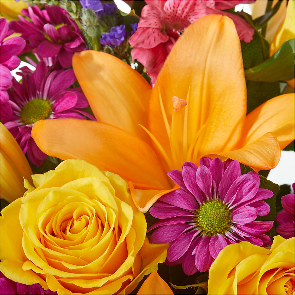 Colorful Visions Bouquet – AIMEE'S FLOWERS, San Diego CA