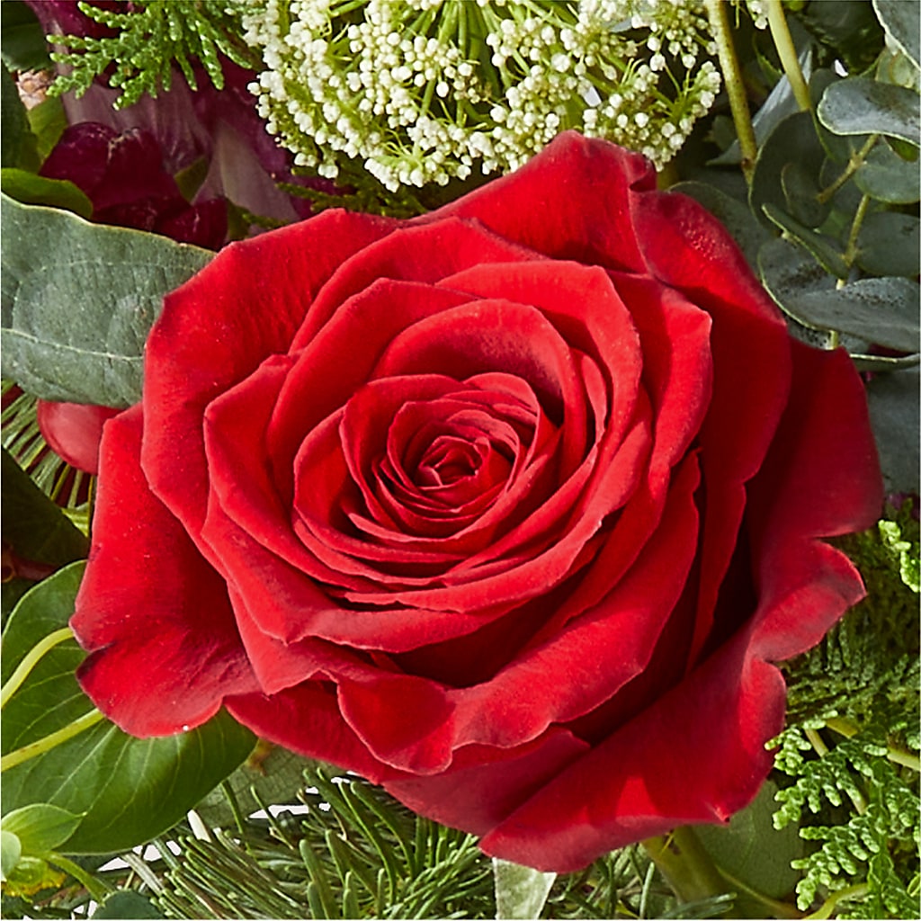 Cranberry Fizz Bouquet – AIMEE'S FLOWERS, San Diego CA