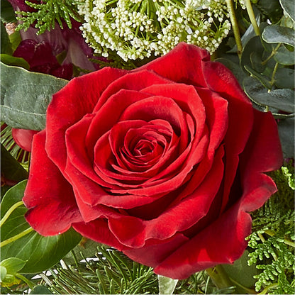 Cranberry Fizz Bouquet – AIMEE'S FLOWERS, San Diego CA