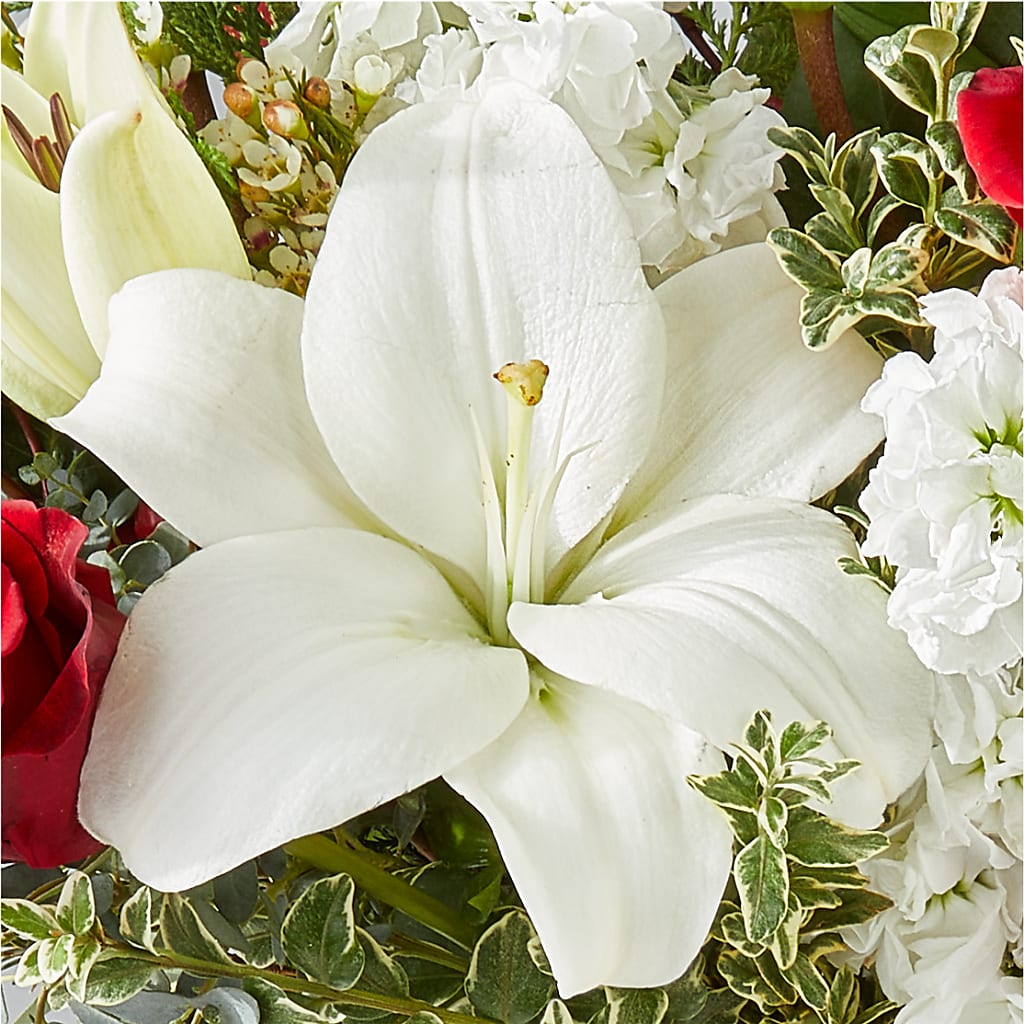 Twinkle Lights Bouquet – AIMEE'S FLOWERS, San Diego CA
