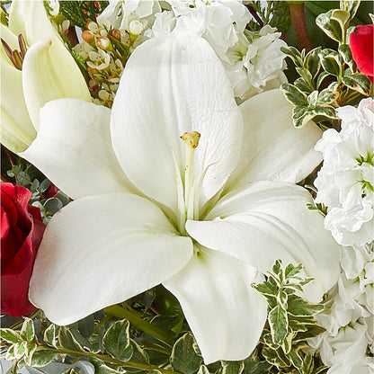 Twinkle Lights Bouquet – AIMEE'S FLOWERS, San Diego CA