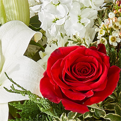 Twinkle Lights Bouquet – AIMEE'S FLOWERS, San Diego CA