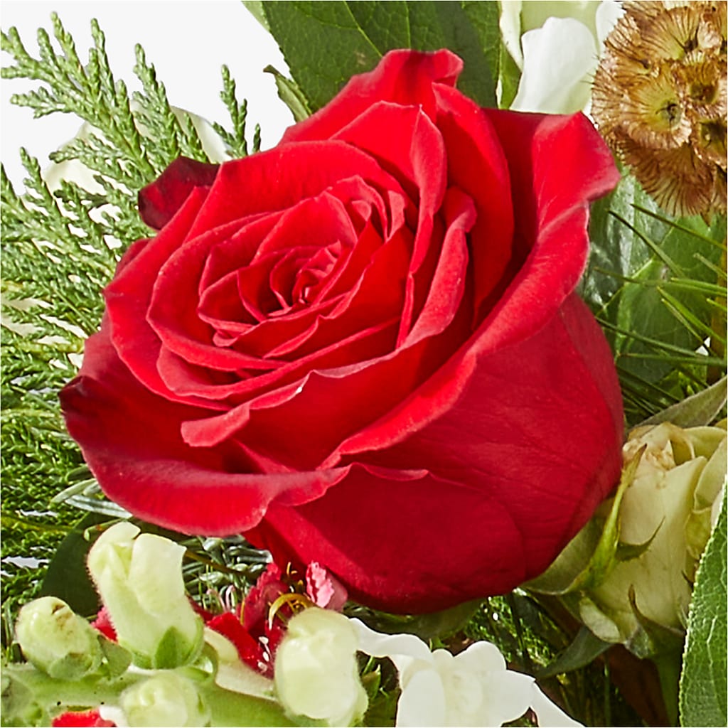 Deck the Halls Bouquet – AIMEE'S FLOWERS, San Diego CA